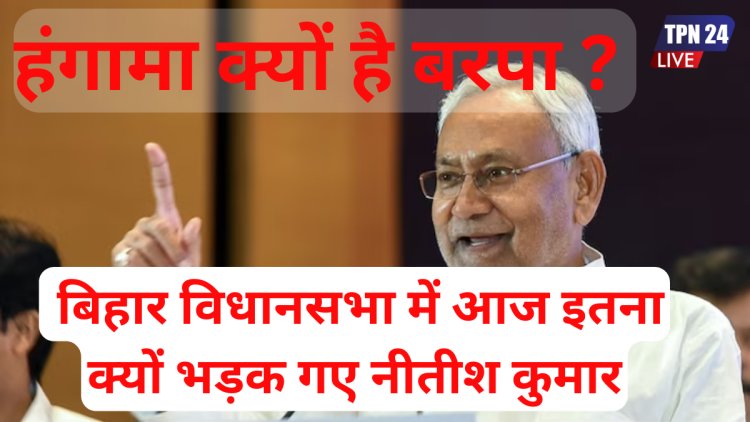 महिला हो, कुछ जानती नहीं हो....? बिहार विधानसभा में आज इतना क्यों भड़क गए नीतीश कुमार