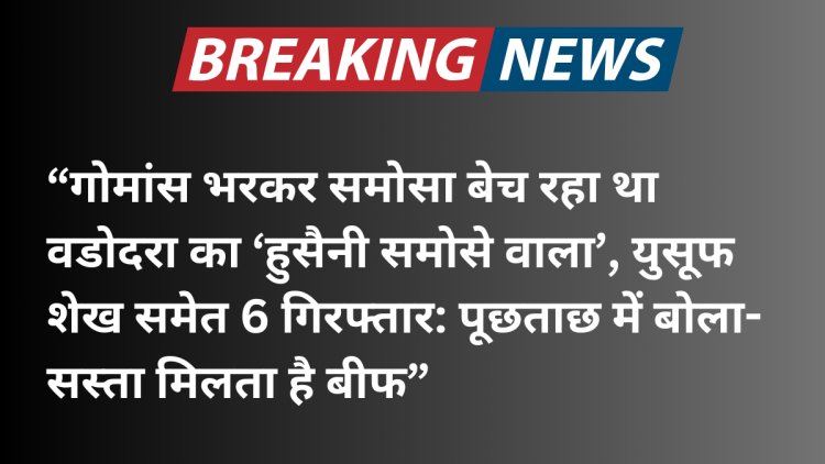 Samosa shops and fear of adulteration  वड़ोदरा में यूसुफ शेख के समोसे में गोमांस का भांडा फोड़ समोसे की दुकानें और मिलावट का डर