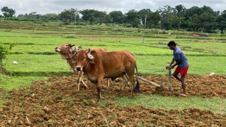 महाराष्ट्र सूखा योजना: दस साल, 9,630 करोड़ खर्च, फिर भी महज 487 लोगों के लिए पानी